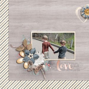 LRT_chapterone--Love-of-Peace-Charity-kit