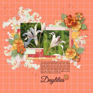 Daylilies