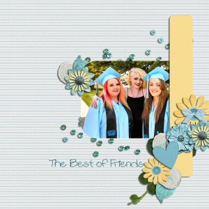 The Best of Friends