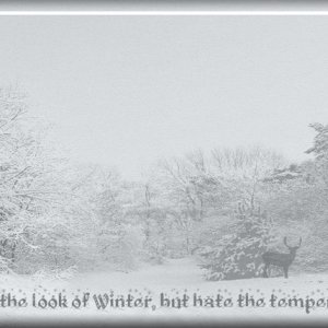 Winter