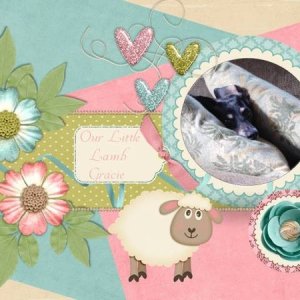Our Little Lamb Gracie - February 2016 Color Challenge