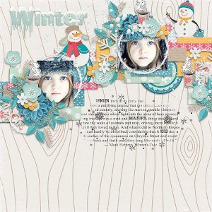 Winter steps 1