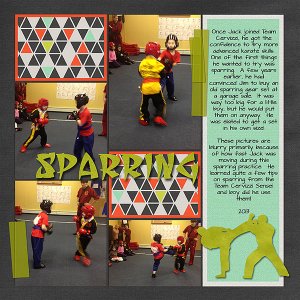 Sparring