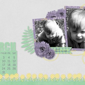 Feb 2016 Desktop Challenge
