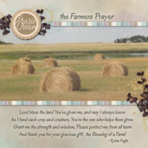 Farmer