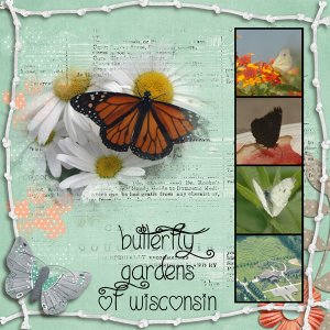Butterfly Garden