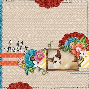 hello
