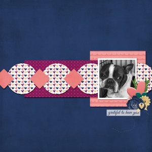 FEB MINI