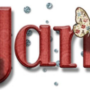 FEBRUARY 2016 SIGGY
