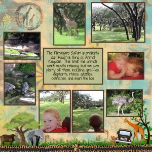 Animal Kingdom Safari
