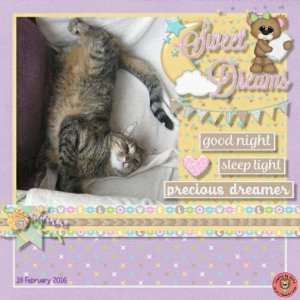 Sweet Dreams