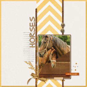 Horses