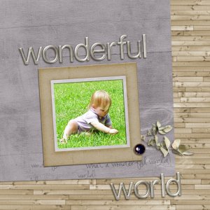 wonderful-world-web