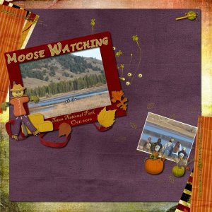 Moose Watching
