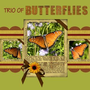 Trio of Butterflies