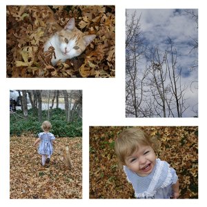2010 11 Click Pic- fall photo shoot