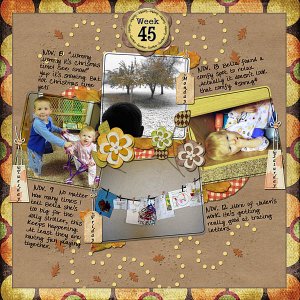 Week 45
