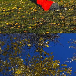 Autumn