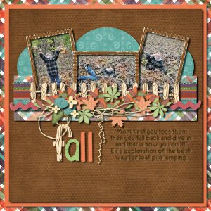 Directions for leaf pile jumping