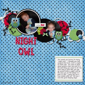 Night Owl