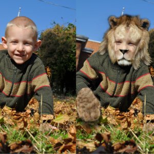 Nov Photo Editing Tech