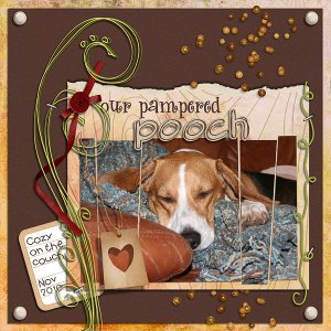 Our Pampered Pooch