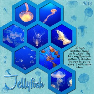 Jellyfish