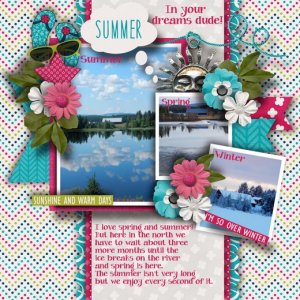 Summer_in_your_dreams_dude