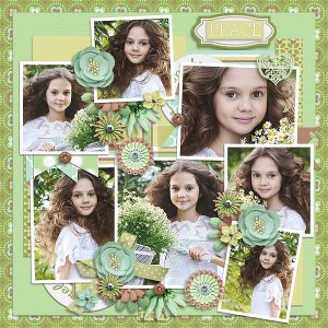 Tinci_MLIP12_77