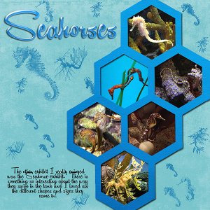 Seahorses
