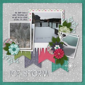 Winter Wishes