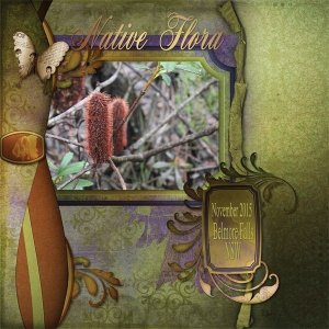 stained era
