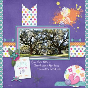 Live Oak Allee