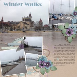 Winter Walk