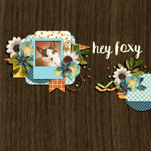 hey foxy