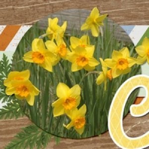 March_2016