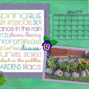 Pansy Garden - March 2016 Desktop Challenge