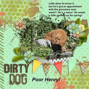 Dirty Dog!