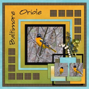 Oriole