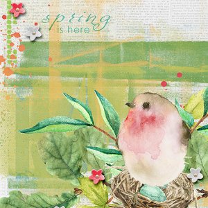 Spring is Here