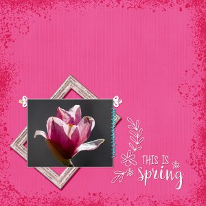 This is Spring