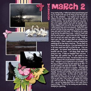 3-March_2_2016_small