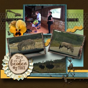 Mar-2016-buffet-challenge-for-the-web