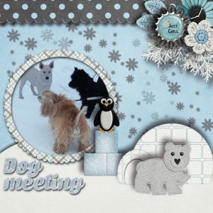 Dog_meeting