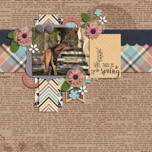 Wordart-Mar16