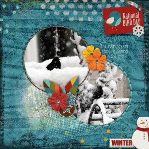 Project 2015 January