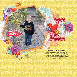 igrew-oranges-copy