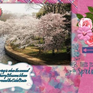 Cherry Blossoms - March 2016 Word Art Challenge