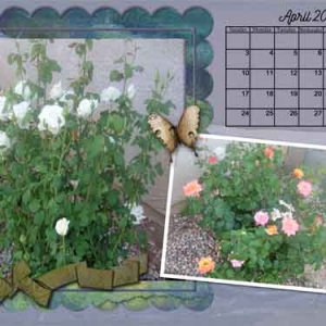 DFD_March2016_DesktopChallenge_1280x8002