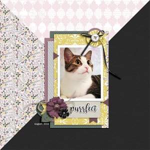 purrfect